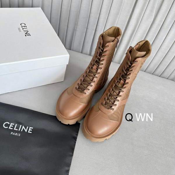Picture of Celine Shoes _SKUCELINELsz35-40WN10012099